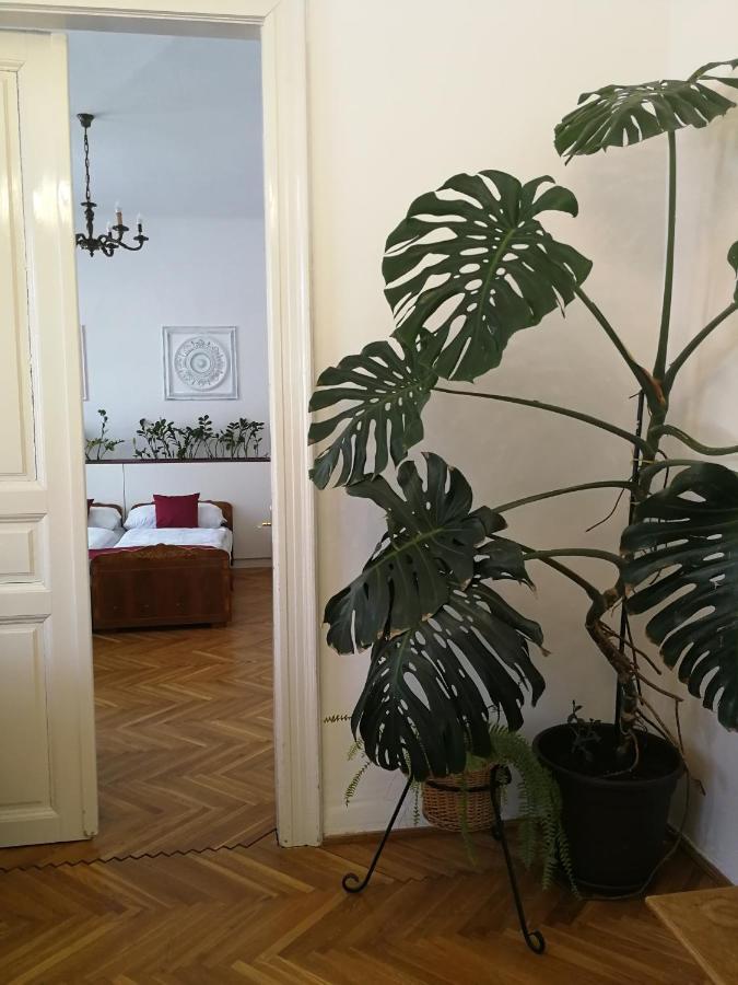 Tulipanvendeghaz Hotell Keszthely Exteriör bild